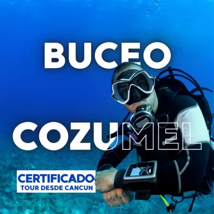 Buceo en Cozumel – Principiante o Certificado Nacional
