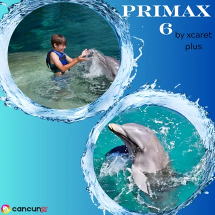 PRIMAX 6 + Parque Xcaret PLUS – Nado con Delfin AVANZADO