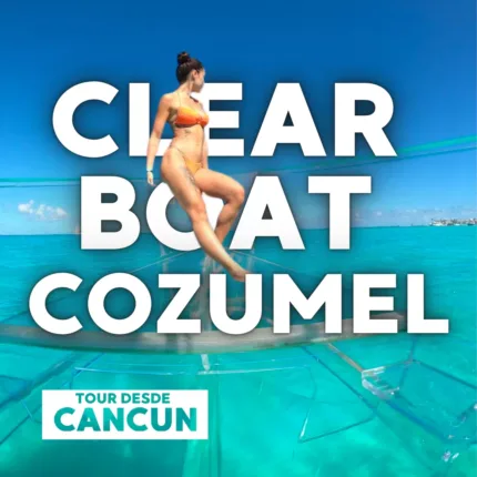 Cozumel ClearBoat Lancha de Cristal – Todo Incluido Mexicanos 🇲🇽