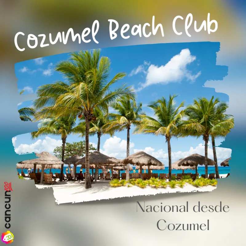Cozumel Beach Club Nacional con Snorkel Palancar